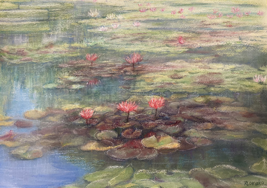 flower flower_focus highres lily_pad nature no_humans norako_pastel original painting_(medium) plant plant_focus pond red_flower reflection reflective_water sunlight traditional_media water