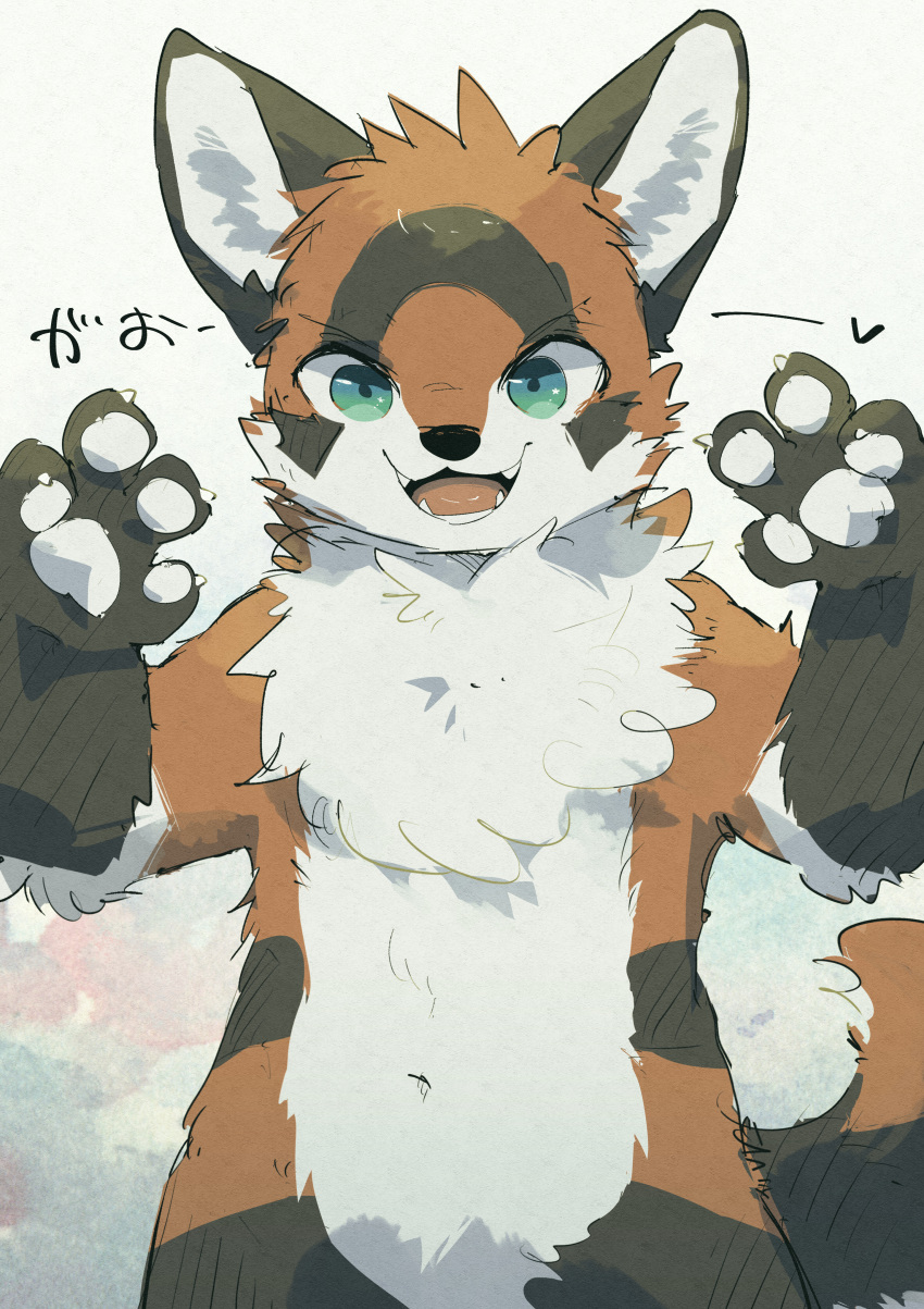 2023 4_fingers absurd_res anthro biped black_nose brown_body brown_ears brown_fur brown_markings canid canine canis chest_tuft claws colored digital_media_(artwork) dipstick_tail domestic_dog facial_markings featureless_crotch finger_claws fingerpads fingers fluffy fluffy_chest front_view fur gloves_(marking) half-length_portrait handpaw head_markings head_tuft hi_res japanese_text kemono looking_at_viewer male male_anthro mammal markings multicolored_body multicolored_ears multicolored_fur multicolored_tail navel nude open_mouth open_smile orange_body orange_fur pawpads paws pink_tongue portrait pose pupils raferafe shaded simple_background smile solo standing star_catchlight star_polygon tail tail_markings teal_eyes teeth text tongue translated tuft two_tone_ears two_tone_tail white_background white_body white_claws white_fur white_inner_ear white_pawpads
