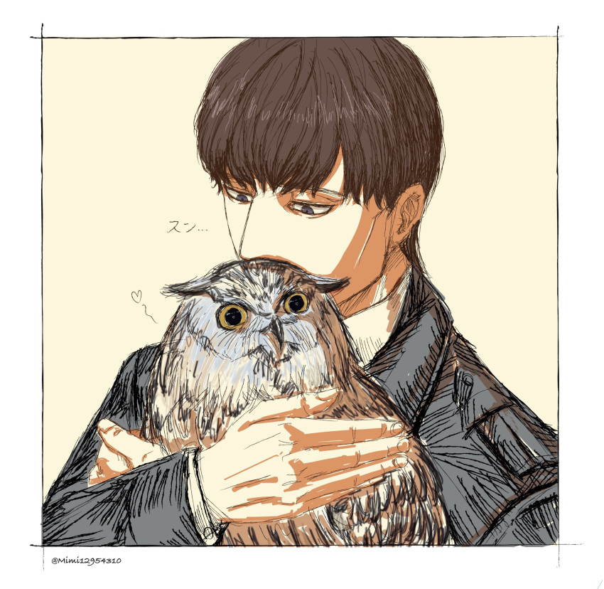 1boy affectionate animal bird bowl_cut brown_hair cheekbones ears_down eren_kruger highres kiss kissing_animal male_focus mature_male mimi_(61743952) name_connection owl shingeki_no_kyojin short_hair solo tsurime upper_body