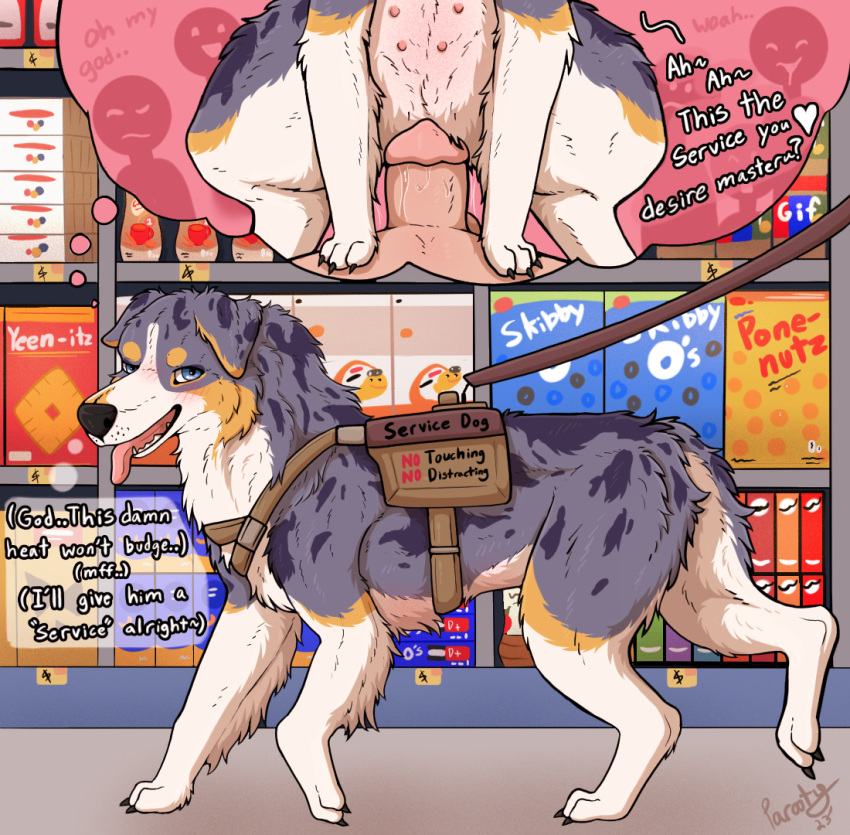 anthro anthro_on_feral anthro_penetrating anthro_penetrating_feral australian_shepherd being_watched bestiality blue_body blue_fur blush canid canine canis cheez-its cookie dialogue domestic_dog duo exhibitionism female feral feral_penetrated first_person_view flirting flirting_with_viewer food fur goldfish_crackers grocery_store harness herding_dog human human_on_feral human_penetrating human_penetrating_feral interspecies jif_peanut_butter leash looking_at_another male male/female mammal nipples oreo_cookie parooty pastoral_dog penetration pringles public service_dog_harness sex sheepdog side_view speech_bubble store talking_feral thinking thought_bubble tongue tongue_out vaginal