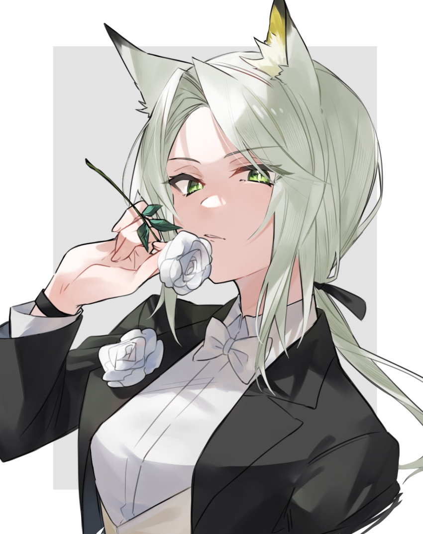 1girl animal_ears arknights black_jacket bow bowtie breasts collared_shirt corsage flower green_eyes grey_hair hand_up highres holding holding_flower jacket kal'tsit_(arknights) long_hair long_sleeves looking_at_viewer low_ponytail parted_lips ribbon shirt small_breasts solo upper_body watch white_ribbon white_shirt wristwatch yakota_(usuk-yako)