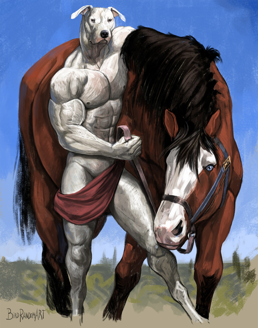abs absurd_res ambiguous_gender birdrandomart canid canine canis convenient_censorship domestic_dog duo equid equine feral hi_res horse male mammal nipples nude pecs reins size_difference