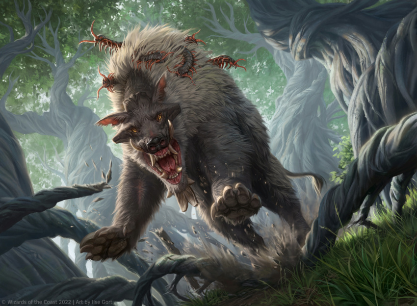 2023 caraid claws day detailed_background digital_media_(artwork) forest fur grass grey_body grey_fur open_mouth outside paws plant teeth tongue tree