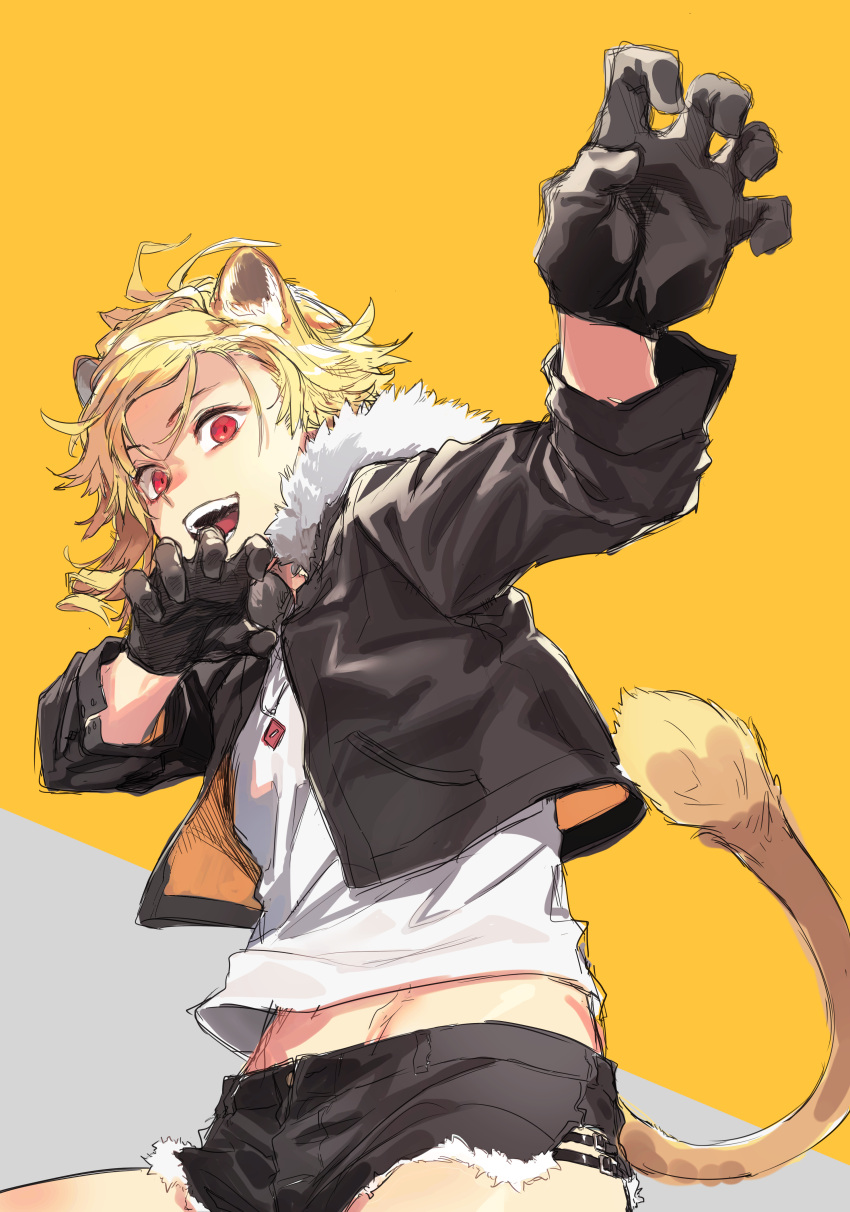 1girl :d absurdres animal_ears black_gloves black_jacket black_shorts blonde_hair claw_pose fighting_stance fur-trimmed_jacket fur_trim gloves highres jacket jewelry kemonomimi_mode leo_(reiga) looking_at_viewer midriff_peek necklace open_clothes open_jacket original red_eyes reiga_(act000) shirt short_hair shorts smile solo tail tomboy white_shirt yellow_background