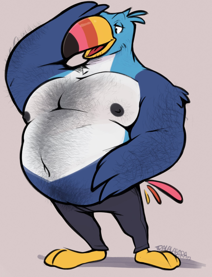2023 anthro arm_hair avian barefoot beak belly big_belly big_moobs bird body_hair bottomwear chest_hair clothed clothing facial_hair feathers feet froot_loops grey_background hairy happy_trail haps hi_res kellogg's love_handles male mascot moobs narrowed_eyes navel nipples non-mammal_nipples open_mouth open_smile overweight overweight_anthro overweight_male pants plantigrade pubes shadow signature simple_background smile solo standing stubble tongue top_heavy topless topless_anthro topless_male toucan toucan_sam tuft
