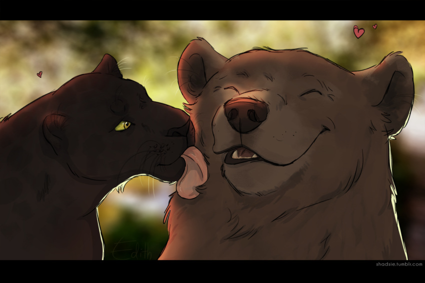 &lt;3 affectionate bagheera_(jungle_book) baloo bear black_body black_eyes black_fur black_nose brown_body brown_fur brown_nose cheek_lick duo eyes_closed face_lick fangs felid feral forest forest_background freckles fur happy interspecies jungle licking licking_another licking_partner looking_at_another looking_at_partner love male male/male mammal nature nature_background nude outside pantherine plant pupils red_heart romantic romantic_ambiance romantic_couple shadsie sharp_teeth signature sloth_bear smile teeth the_jungle_book tongue tongue_out tree ursine whiskers white_pupils yellow_eyes yellow_sclera