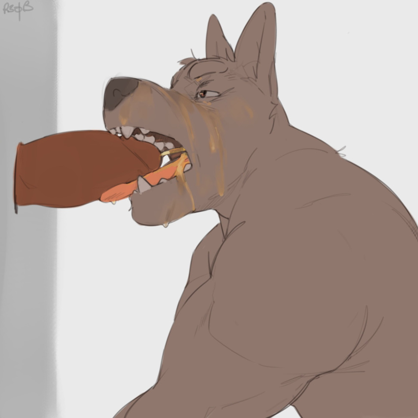 2023 anthro bodily_fluids canid canine drinking drinking_urine duo erection fangs genital_fluids genitals glory_hole half-closed_eyes hi_res male male/male mammal messy narrowed_eyes open_mouth penis penis_in_mouth r30b0m0 simple_background teeth tongue tongue_on_penis urine urine_in_mouth urine_on_face urine_stream watersports white_background