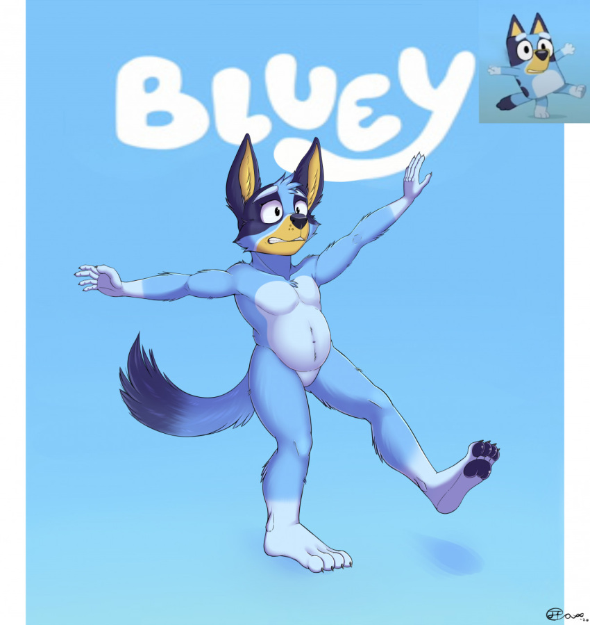 2021 anthro arms_out balancing belly blue_body blue_fur bluey_(series) bluey_heeler canid canine canis chubby_anthro chubby_male claws clenched_teeth domestic_dog ears_up fur hi_res inner_ear_fluff jimfoxx male mammal nude on_one_leg paws raised_tail screencap signature slightly_chubby solo standing tail teeth text toe_claws tuft wide_eyed