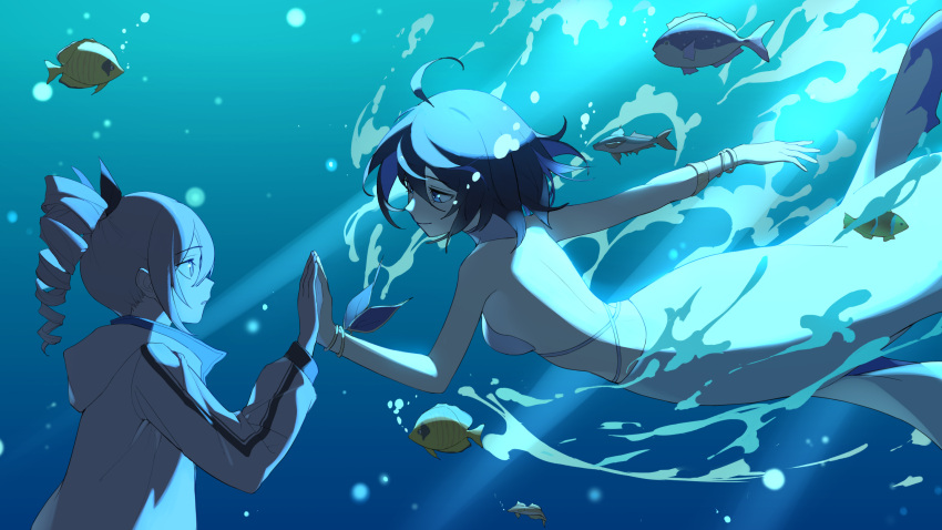 aquarium bangs bare_shoulders belly black_hair black_shirt black_shorts blue_eyes blue_hair blue_light blush bracelet breasts bronya_zaychik cleavage closed_mouth dress drill_hair fish glass gold_bracelet grey_eyes grey_hair hair_between_eyes highres honkai_(series) honkai_impact_3rd jacket jewelry kuo_(kuo114514) light_particles light_rays mermaid_costume mermaid_dress open_clothes open_jacket ponytail seele seele_vollerei shirt short_hair shorts small_breasts smile swimming swimsuit water white_jacket yuri