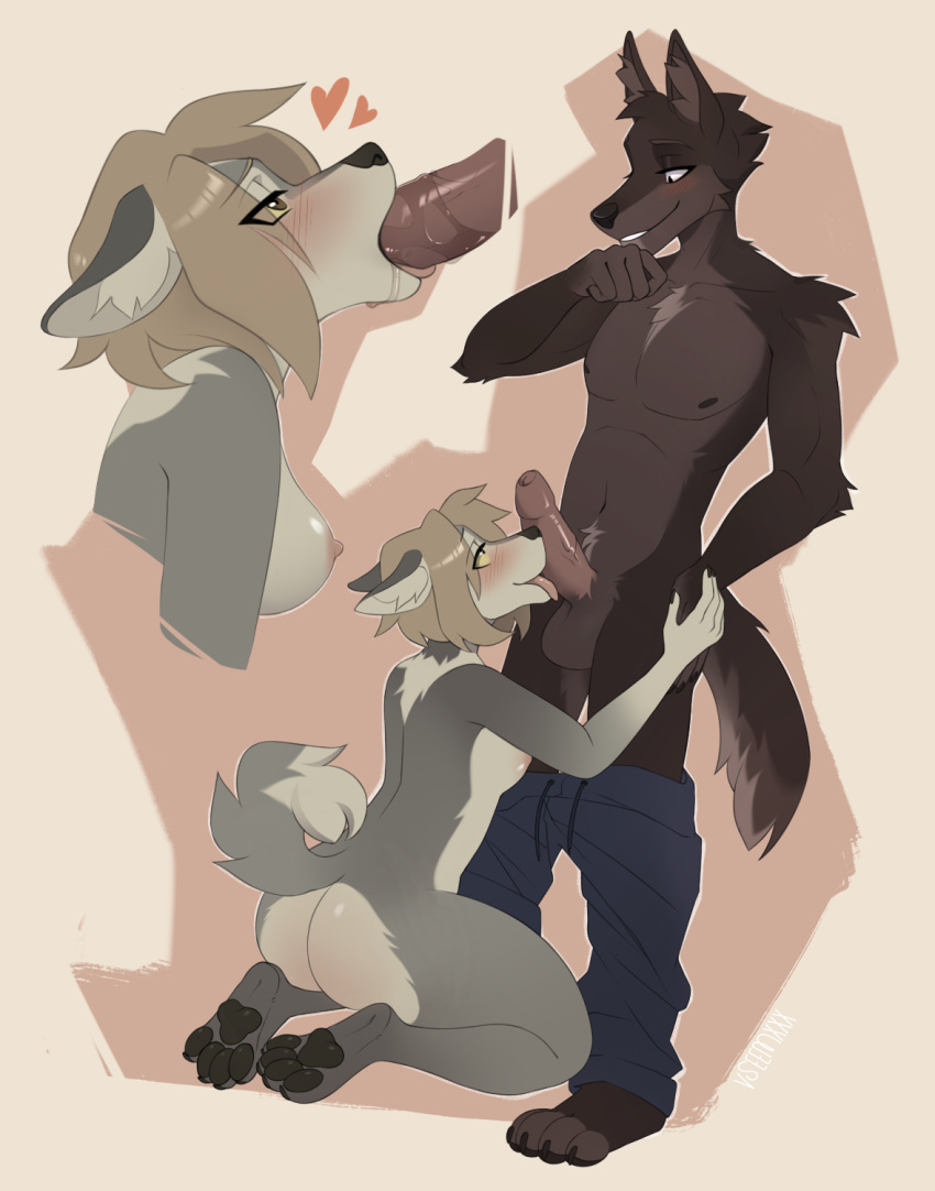 &lt;3 anthro blonde_hair blush bottomwear bottomwear_down breasts brown_body brown_fur butt canid canine canis clothed clothing domestic_dog duo eyelashes eyelids feet fellatio female female_penetrated foreskin fur genitals grey_body grey_fur hair hi_res kneeling licking looking_down_at_partner male male/female male_penetrating male_penetrating_female mammal mostly_nude nipples nude oral pants pants_down partially_clothed pawpads penetration penile penis penis_in_mouth penis_lick sex smile standing tongue tongue_out v7eemx