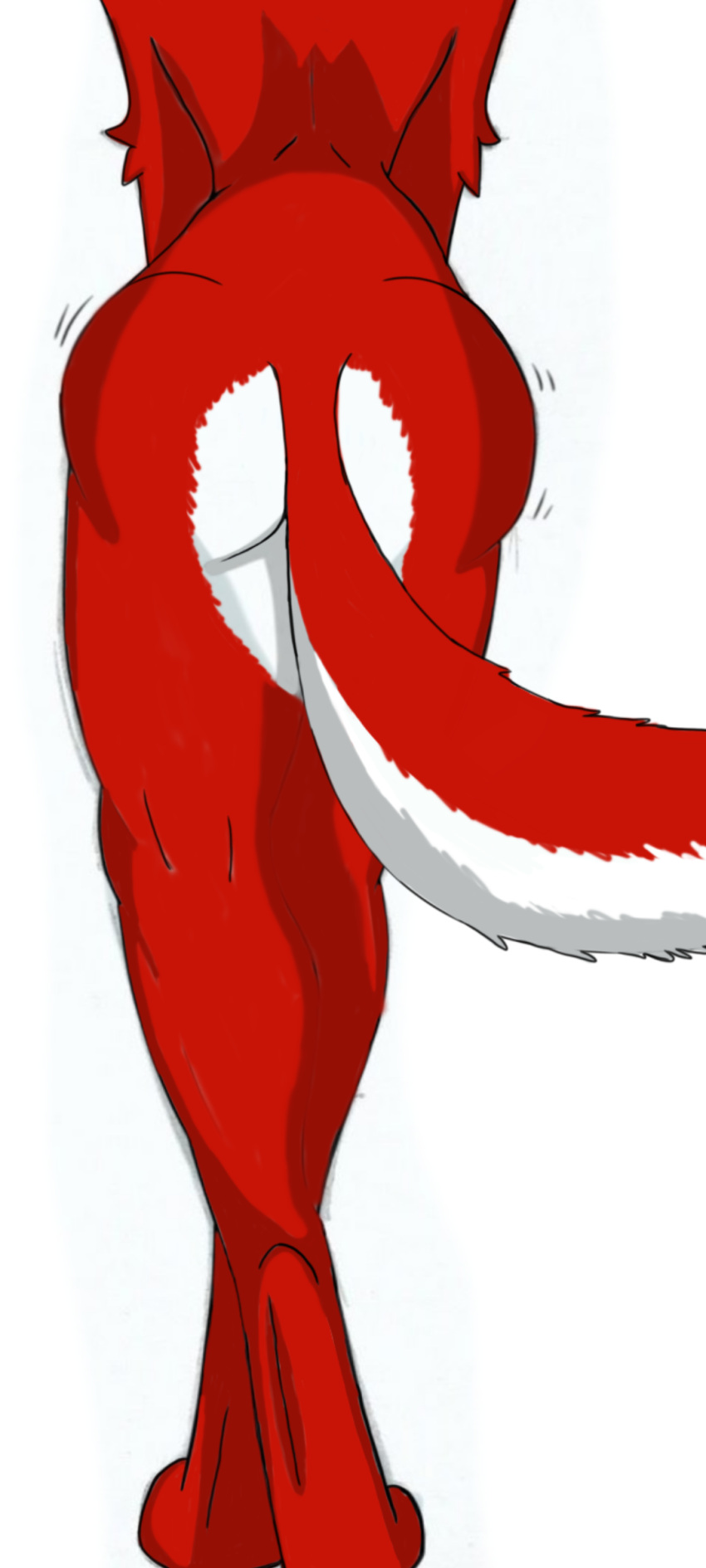absurd_res alfa_wolf10! anthro butt canid canine canis female fur hi_res mammal multicolored_body red_body red_fur red_wolf solo two_tone_body white_body white_fur wolf