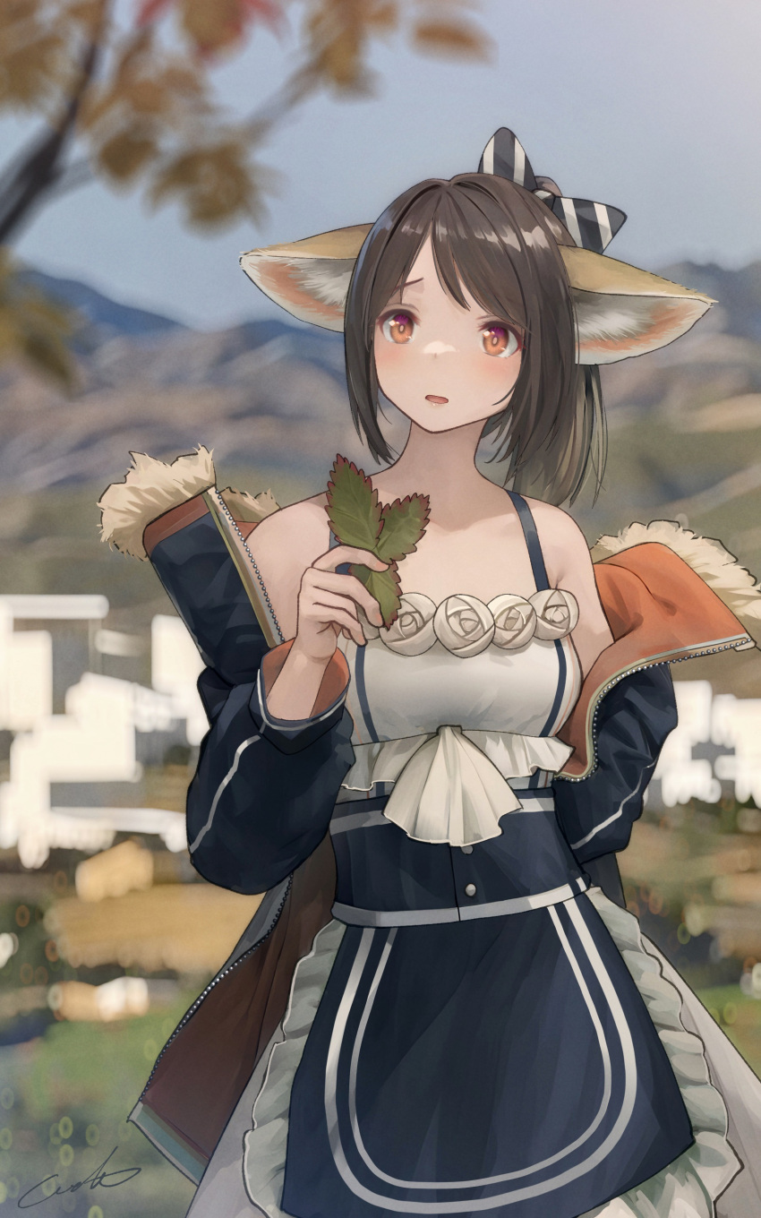 1girl absurdres animal_ear_fluff animal_ears apron arknights bangs bare_shoulders black_apron black_jacket blush bow brown_hair cityscape collarbone cowboy_shot day dress fox_ears frilled_apron frills hair_bow highres holding holding_leaf jacket leaf off_shoulder open_clothes open_jacket open_mouth outdoors partially_unzipped perfumer_(arknights) ponytail red_eyes short_hair solo striped striped_bow swept_bangs waist_apron welt_(kinsei_koutenkyoku) white_dress