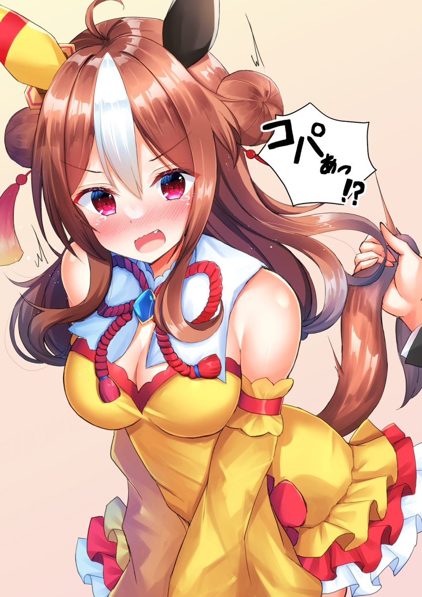 1girl ahoge breasts cleavage commentary_request copano_rickey_(umamusume) double_bun fang hair_between_eyes hair_bun hair_ornament highres horse_girl looking_at_viewer medium_breasts medium_hair pov pov_hands purple_eyes shiinyan simple_background solo_focus tears touching_tail translation_request umamusume white_background