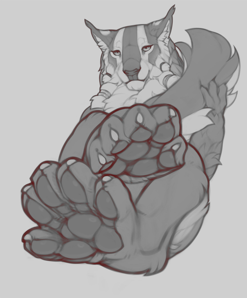 5_toes ambiguous_gender anthro feet felid female fluffy foot_focus hi_res looking_at_viewer mammal paws snowskau solo tetton toes