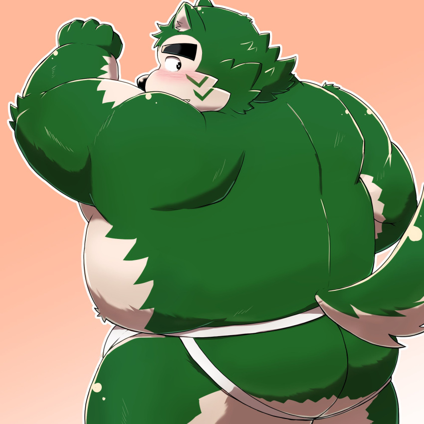 2023 anthro belly big_belly black_nose blush bulge butt canid canine canis clothing domestic_dog green_body hi_res jockstrap kemono lifewonders live_a_hero male mammal mohumohudansi mokdai overweight overweight_male simple_background solo underwear
