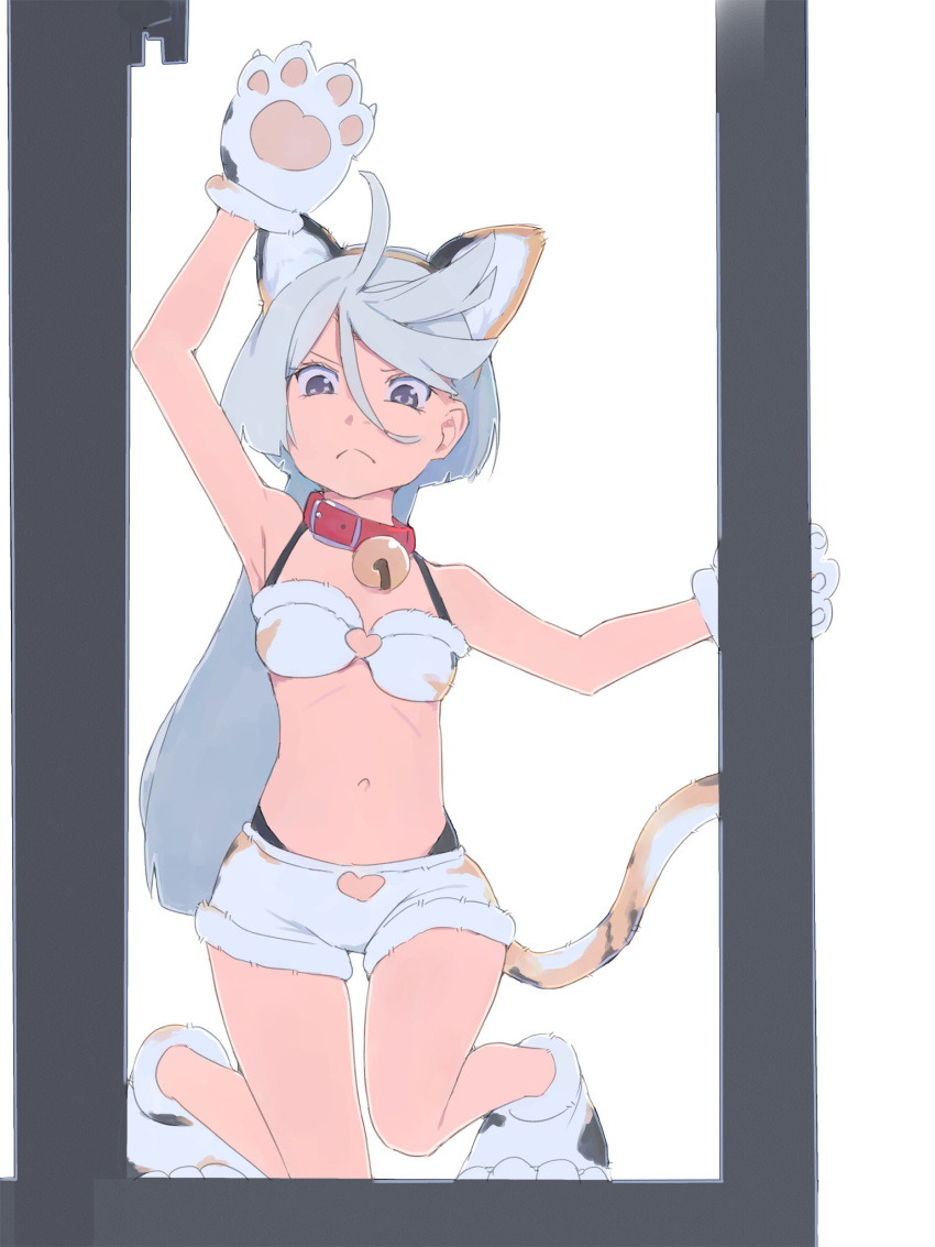 1girl ahoge akinbo_(hyouka_fuyou) animal_ears animal_hands arm_up armpits bangs bell bra brown_eyes brown_hairband cat_ears cat_tail closed_mouth collar fake_animal_ears flat_chest frown fur-trimmed_bra fur-trimmed_shorts fur_trim gloves grey_hair gundam gundam_suisei_no_majo hair_between_eyes hairband highres long_hair looking_at_viewer miorine_rembran navel neck_bell paw_gloves red_collar short_shorts shorts solo tail underwear white_background white_bra white_shorts