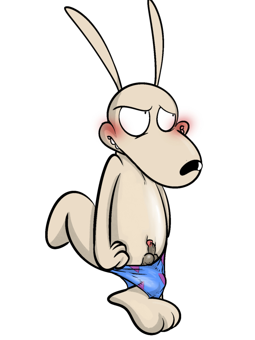 anthro balls blush erection genitals hi_res illegaleel macropod male mammal marsupial mostly_nude nickelodeon penis rocko's_modern_life rocko_rama shy small_penis solo wallaby