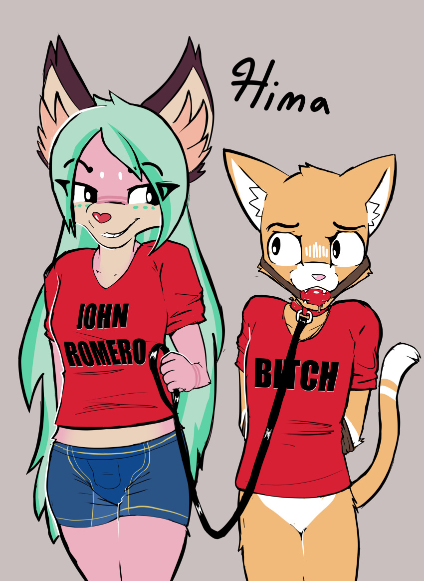 absurd_res ambiguous_gender anthro ball_gag bodily_fluids canid canine clothing collar duo felid feline fox fur gag green_hair hair hi_res hima_nsfw holding_leash holding_object intersex intersex/intersex leash mammal orange_body orange_fur pink_body pink_fur red_clothing red_shirt red_topwear saliva shirt smile tan_body tan_fur text text_on_clothing text_on_shirt text_on_topwear topwear white_body white_fur