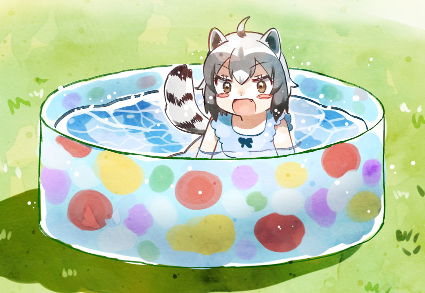 1girl ahoge animal_ears black_hair blush blush_stickers brown_eyes common_raccoon_(kemono_friends) fang kemono_friends open_mouth outdoors pool raccoon_ears raccoon_girl raccoon_tail short_hair solo striped_tail suicchonsuisui swimsuit tail wading_pool water wet