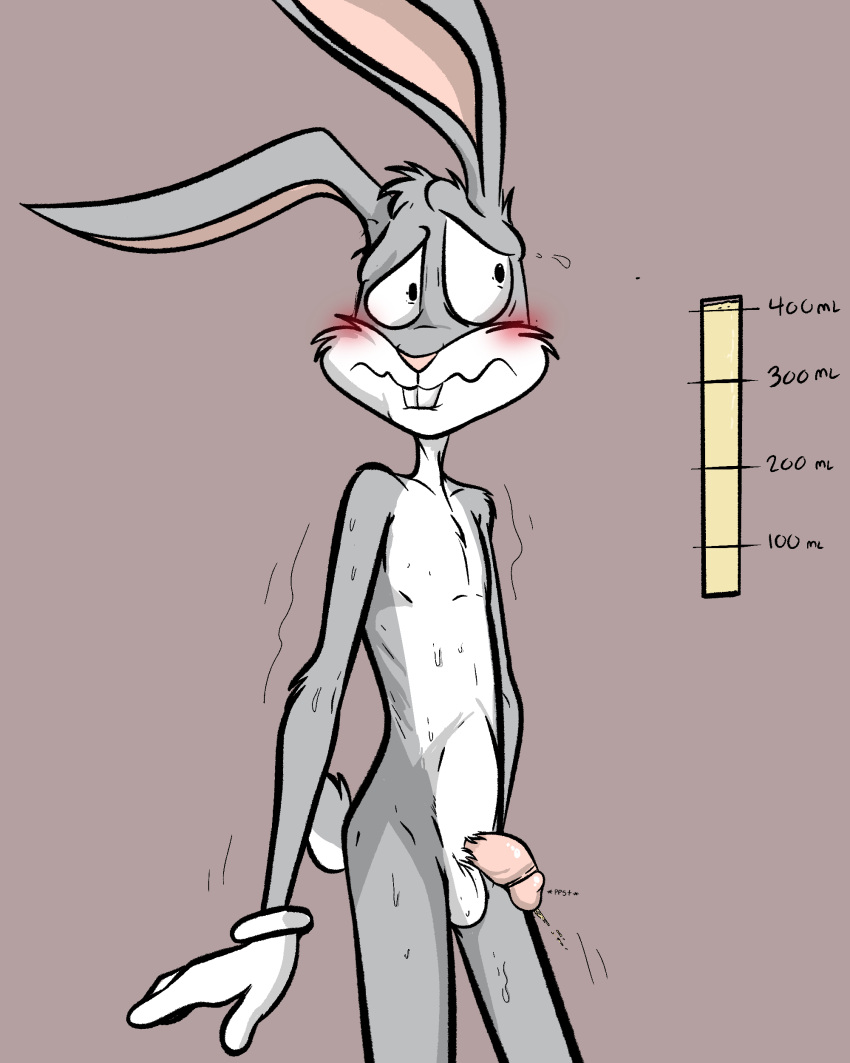 absurd_res anthro balls bladder_gauge blush bodily_fluids bugs_bunny desperation flaccid full_bladder genitals hi_res illegaleel lagomorph leaking_urine leporid looney_tunes male mammal need_to_pee omorashi pee_desperation penis rabbit solo spurting sweat warner_brothers