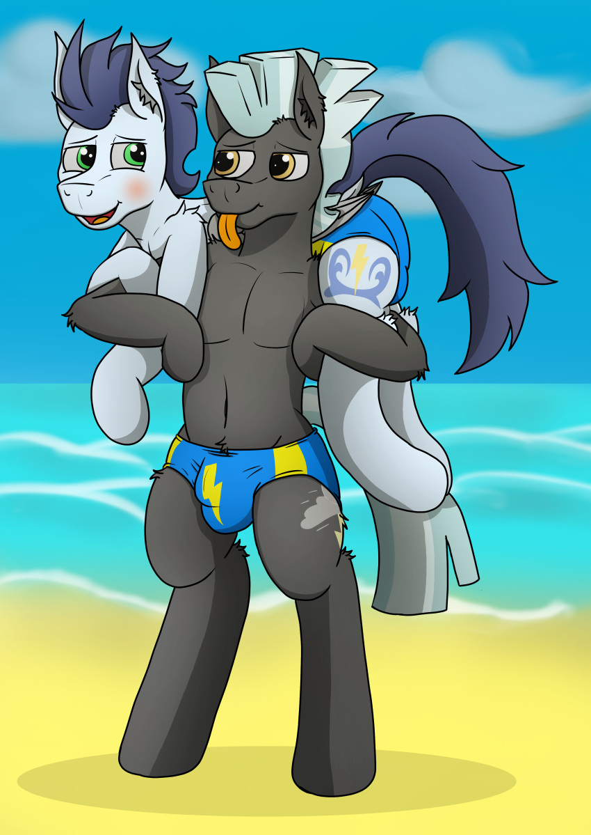 absurd_res anthro beach biped blue_clothing blue_swimwear blush bulge carrying carrying_another carrying_partner clothing duo equid equine fireman's_carry friendship_is_magic hasbro hi_res horse inner_ear_fluff male male/male mammal my_little_pony navel pegasus pony sand seaside soarin_(mlp) speedo swimwear tacomytaco thunderlane_(mlp) tongue tongue_out tuft wings wonderbolts_(mlp)
