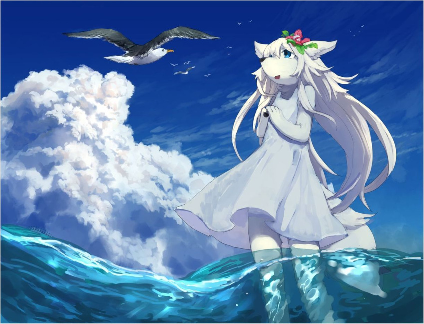 amazing_background anthro avian bird bird_watching blue_eyes canid canine canis clothing cloud cropped deep_water detailed_background dress fantasy female fur gull hair kemono lari larid long_hair mammal pippi913 seascape seaside sky solo standing underwater upskirt water white_body white_clothing white_dress white_fur wind wolf wolf_girl