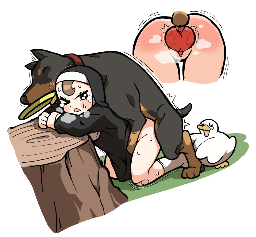 1girl animal_penis bandaid bestiality bird black_dress brown_hair collaboration dog doggystyle dress duck gum_(illliliiillili) habit heiyuu! highres knotted_penis knotting little_nuns_(diva) nun penis pussy sex sex_from_behind tearing_up vaginal