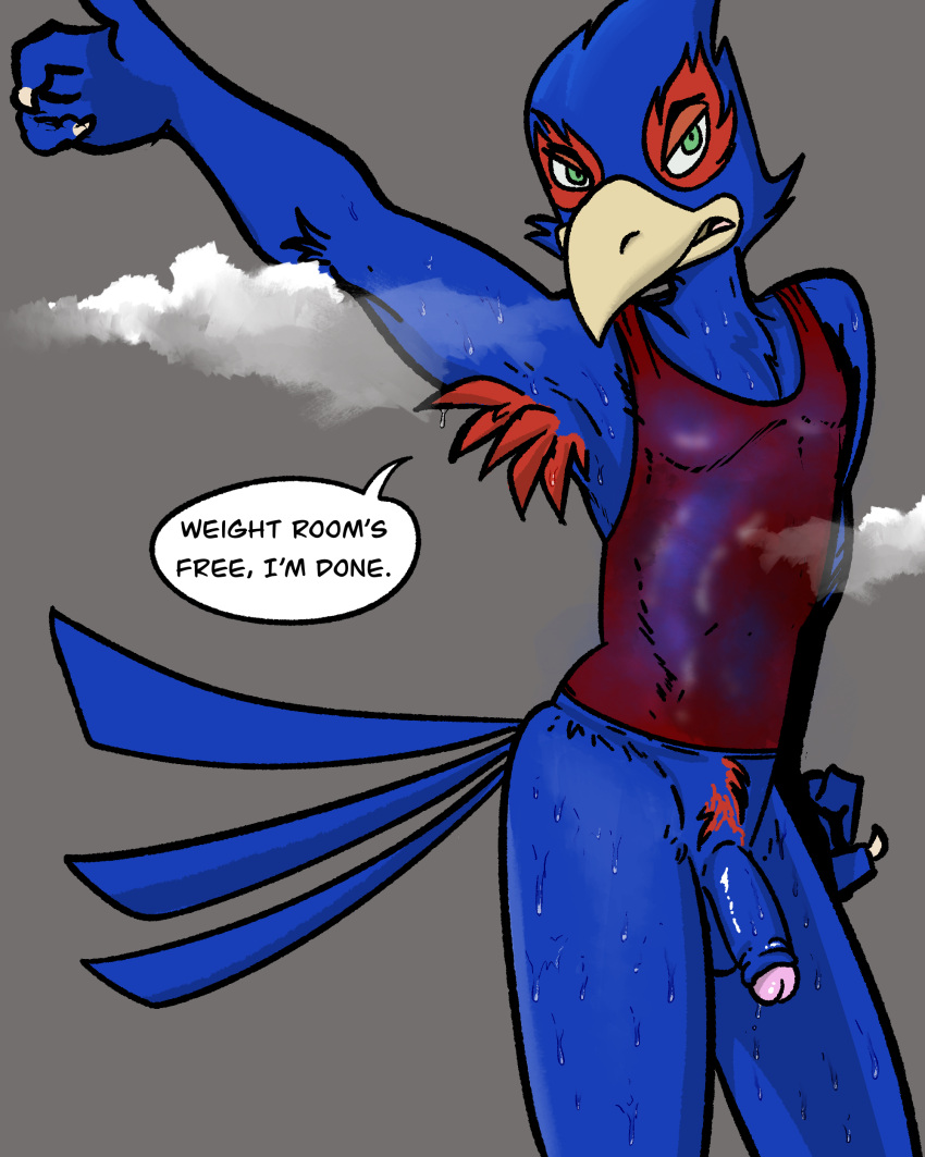 absurd_res anthro armpit_tuft avian bird bodily_fluids bottomless clothed clothing dialogue falco_lombardi flaccid foreskin genitals hi_res illegaleel male nintendo penis solo star_fox sweat sweaty_clothing topwear translucent translucent_clothing wet wet_clothing wet_topwear