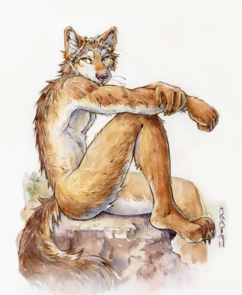 akatan_art anthro back_tuft brown_body brown_claws brown_fur butt canid cheek_tuft claws facial_tuft full-length_portrait fur glistening glistening_eyes hi_res leg_tuft looking_aside male mammal mouth_closed no_pupils nude orange_eyes portrait side_view signature simple_background sitting solo tuft whiskers white_background white_body white_fur