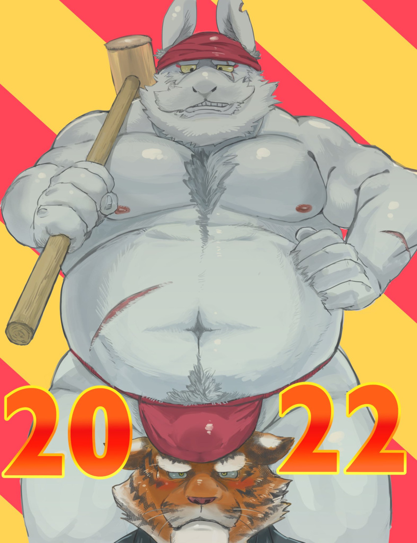 2023 anthro asian_clothing belly big_belly blus blush bulge clothing duo east_asian_clothing felid fundoshi hi_res humanoid_hands ikaring japanese_clothing kemono lagomorph leporid male mammal moobs navel nipples overweight overweight_male pantherine rabbit red_clothing red_fundoshi red_underwear scar tiger underwear