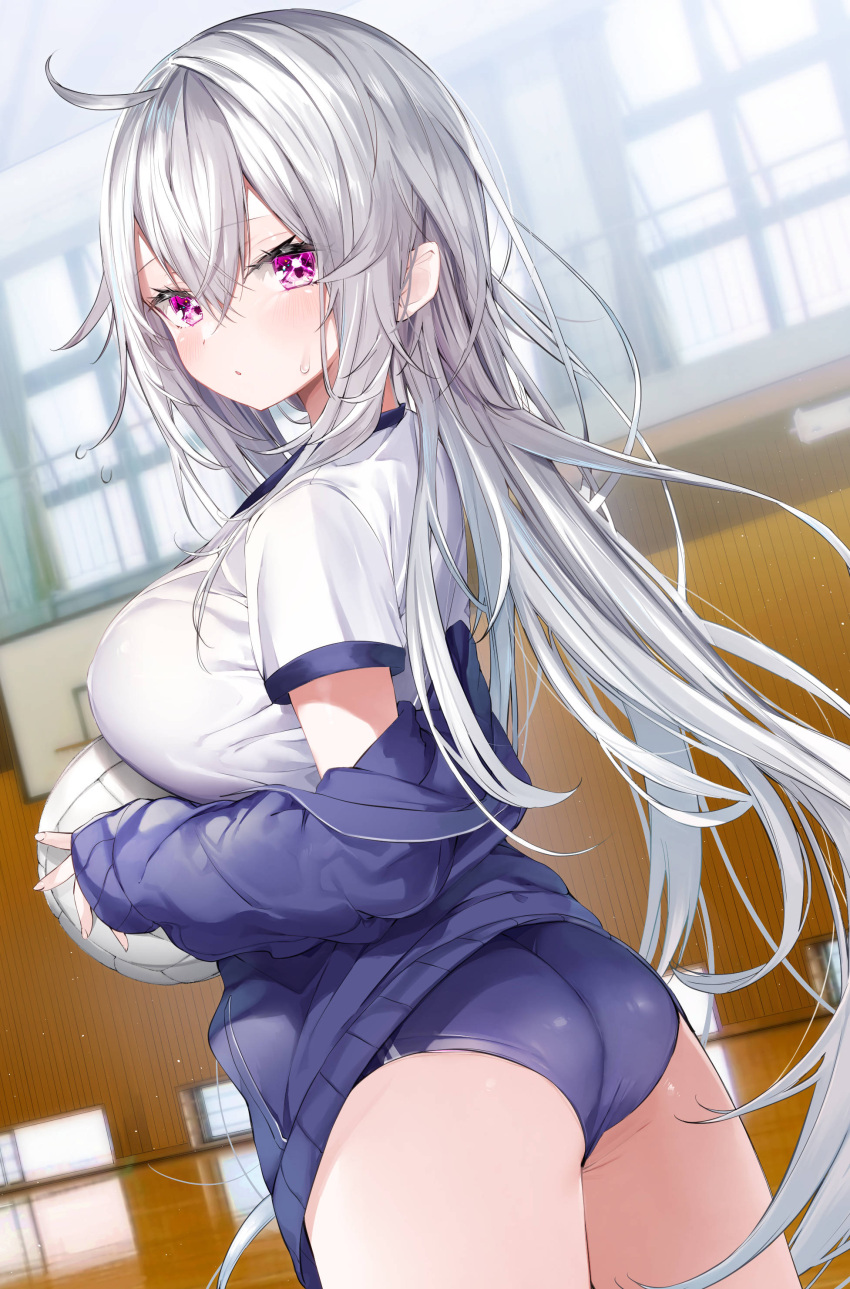 1girl absurdres ahoge ass ball bangs basketball_hoop blue_buruma blue_jacket blurry blurry_background blush breasts buruma closed_mouth commentary_request depth_of_field grey_hair hair_between_eyes highres holding holding_ball indoors jacket kamioka_shun'ya large_breasts long_sleeves looking_at_viewer looking_back off_shoulder open_clothes open_jacket original pointy_ears puffy_long_sleeves puffy_sleeves purple_eyes shiori_(kamioka_shun'ya) shirt short_sleeves sleeves_past_wrists solo sunlight sweat volleyball white_shirt window