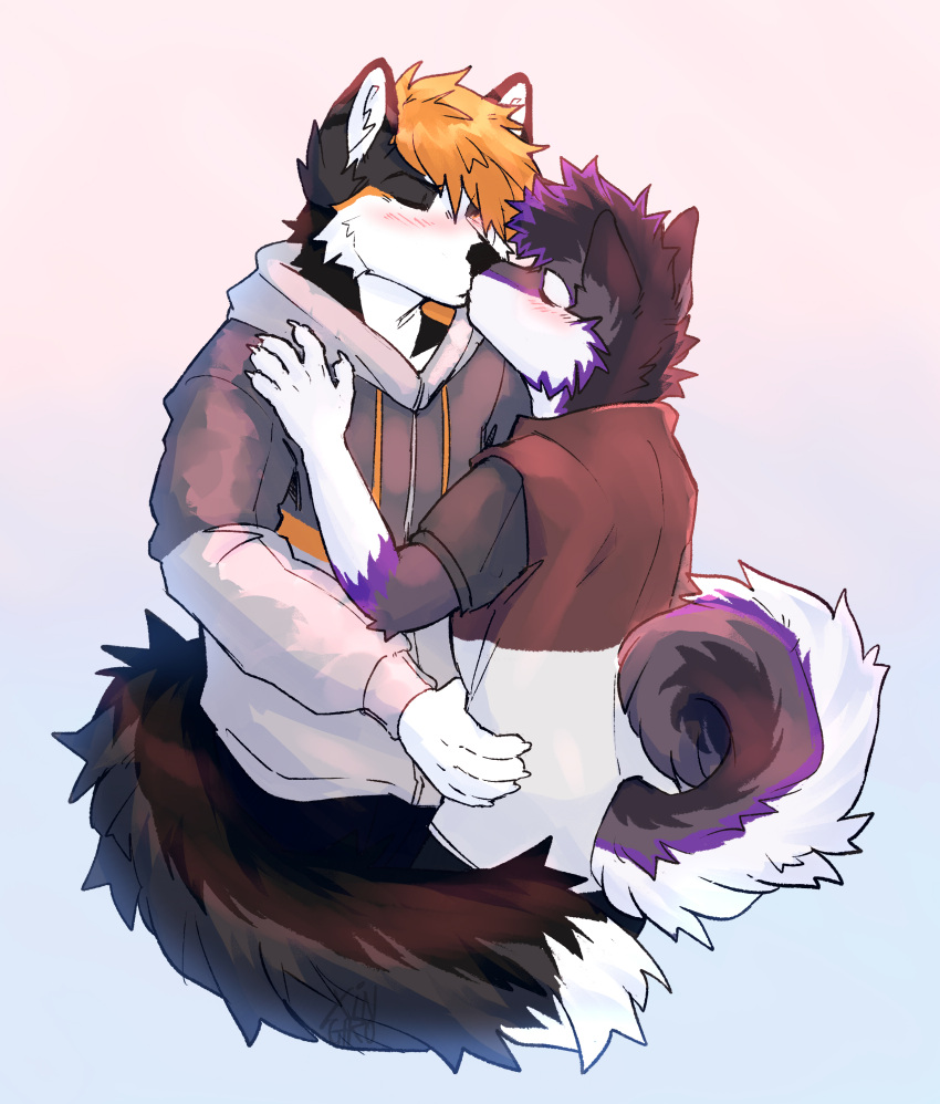 absurd_res anthro black_body black_fur blue_blackground canid canine canis clothing domestic_dog duo flushed fox foxie(just_a_foxie) fur half-length_portrait hi_res holding_belly husky jacket kemono kiss_on_lips love male male/male mammal nordic_sled_dog orange_body orange_fur pink_background portrait purple_body purple_fur raised_tail romantic romantic_couple shirt siberian_husky simple_background spitz t-shirt tail topwear tvorsky xingiro