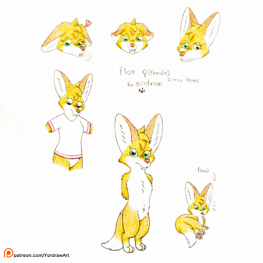 &lt;3 admiring_self angry anthro canid canine clothing cute_expression cute_eyes expressions female fennec feral fox hi_res mammal model_sheet nerves pawpads paws reference_image satisfaction scared shirt sigh solo t-shirt text timid topwear url yordraw yordraw_ocs