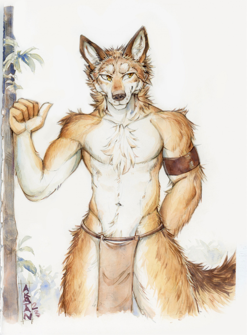 2023 akatan_art anthro bottomwear brown_bottomwear brown_clothing brown_loincloth canid cheek_tuft chest_tuft clothed clothing dated facial_tuft front_view fur head_tuft hi_res leg_tuft loincloth looking_aside male mammal mouth_closed neck_tuft orange_body orange_fur portrait shoulder_tuft signature simple_background solo standing three-quarter_portrait topless tuft white_body white_fur yellow_eyes