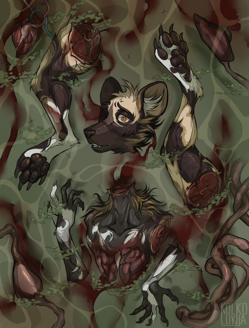 african_dog amputation anthro blood bodily_fluids canid canine death decapitation food gore hi_res kolkolukija limbs male mammal meat organs solo swamp