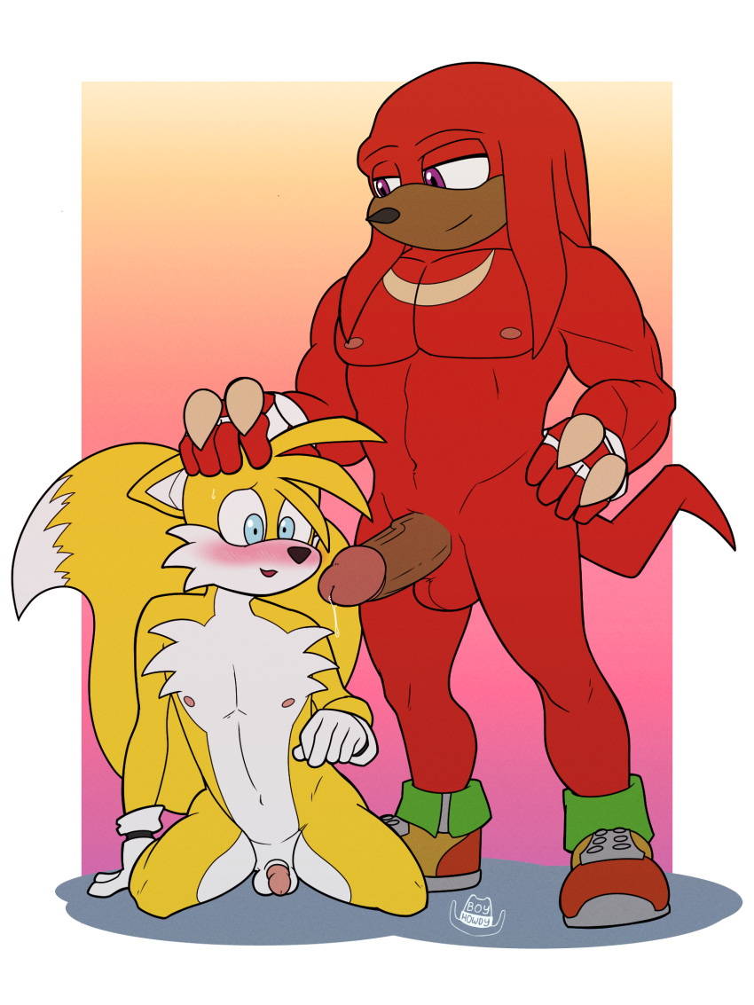 alternate_form anthro balls blush bodily_fluids boyhowdy canid canine dripping duo echidna erection flaccid fox genital_fluids genitals hand_on_head hi_res knuckles_the_echidna male male/male mammal miles_prower monotreme penis precum precum_drip sega smile sonic_the_hedgehog_(series) vein veiny_penis