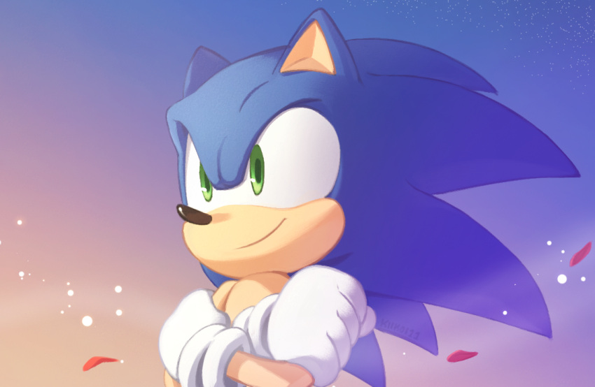 1boy animal_nose closed_mouth furry furry_male gloves green_eyes kiioki11 looking_ahead male_focus petals sky smile solo sonic_(series) sonic_frontiers sonic_the_hedgehog upper_body white_gloves