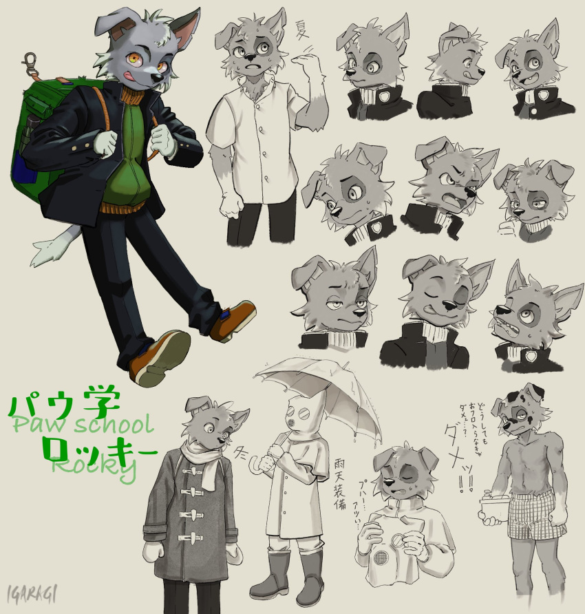 anthro anthrofied bust_portrait character_name clothed clothing english_text expression_sheet hazard_suit hi_res high_school igaragi information japanese_text male mixed_breed model_sheet multiple_poses off/on open_mouth paw_patrol portrait pose rocky_(paw_patrol) school smile solo text umbrella winter_clothing