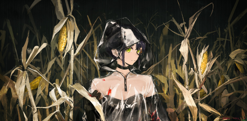 1girl absurdres black_choker black_gloves black_hair blood blood_on_clothes breasts choker cleavage closed_mouth collarbone corn earrings gloves green_eyes highres hood hood_up jewelry looking_at_viewer original outdoors rain see-through short_hair small_breasts smile solo strapless transparent_raincoat upper_body xilmo