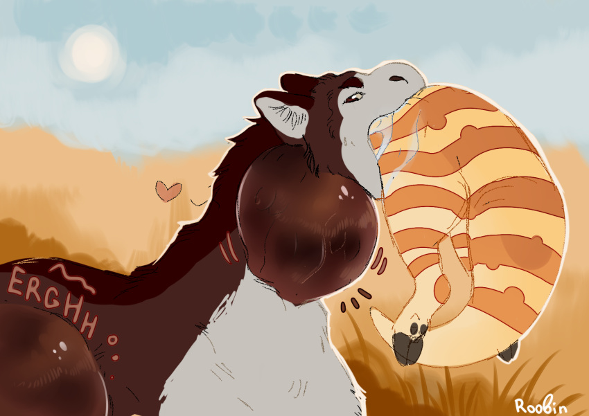 &lt;3 ambiguous_gender belly big_belly bodily_fluids brown_body brown_fur duo feral fur glistening glistening_eyes grass grey_body grey_fur hi_res hyper hyper_belly in_mouth markings neck_bulge open_mouth oral_vore outside plant roobin saliva side_view signature species_request striped_legs striped_markings striped_tail stripes tail tail_markings vore