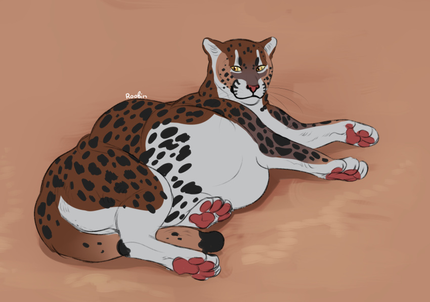 ambiguous_gender belly big_belly black_spots brown_body felid feral full-length_portrait fur glistening glistening_eyes hi_res hyper hyper_belly lying mammal markings mouth_closed on_side pawpads portrait red_pawpads roobin signature simple_background solo spots spotted_back spotted_legs spotted_markings spotted_tail tail tail_markings whiskers white_body white_fur yellow_eyes yellow_sclera