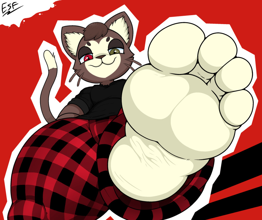 anthro black_clothing black_shirt black_topwear clothing domestic_cat electricsnowfox feet felid feline felis foot_fetish foot_focus heterochromia hi_res kralex looming macro male mammal micro paws plaid shirt smug step_pose toes topwear