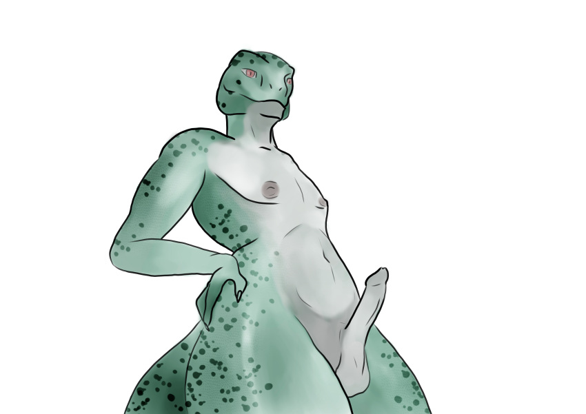 absurd_res anthro argonian bethesda_softworks erection foreskin genitals green_body hand_on_hip hi_res lizard male penis reptile scalie solo standing the_elder_scrolls