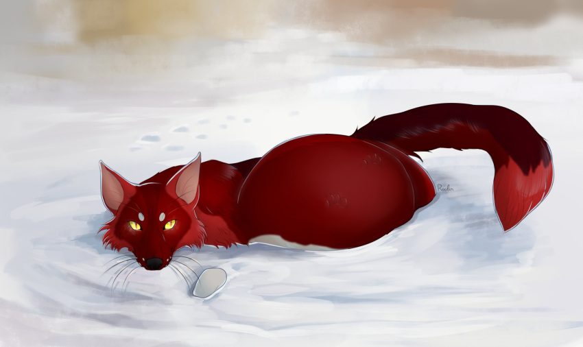 ambiguous_gender belly big_belly canid cheek_tuft facial_tuft feral fur hi_res huge_belly mammal mouth_closed no_sclera orange_pupils outside paw_imprint pupils red_body red_fur red_tail roobin signature slit_pupils snow tail tuft vore whiskers yellow_eyes