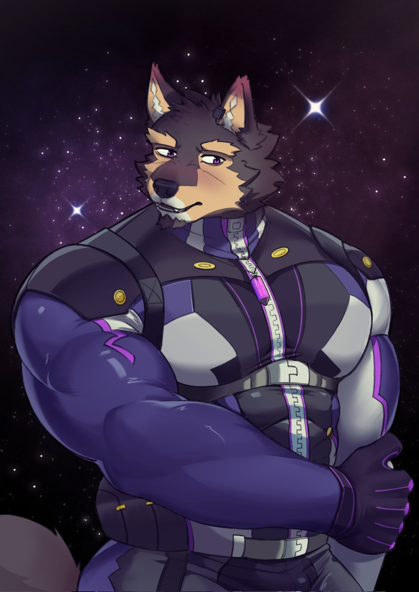 abs anthro biceps blush bodysuit brown_body brown_fur canid canine canis clothing domestic_dog eyebrows fur hi_res lifewonders live_a_hero male mammal muscular muscular_anthro muscular_male pecs pubraseer skinsuit sky solo star starry_sky superhero thick_eyebrows tight_clothing yee3wolf zipper