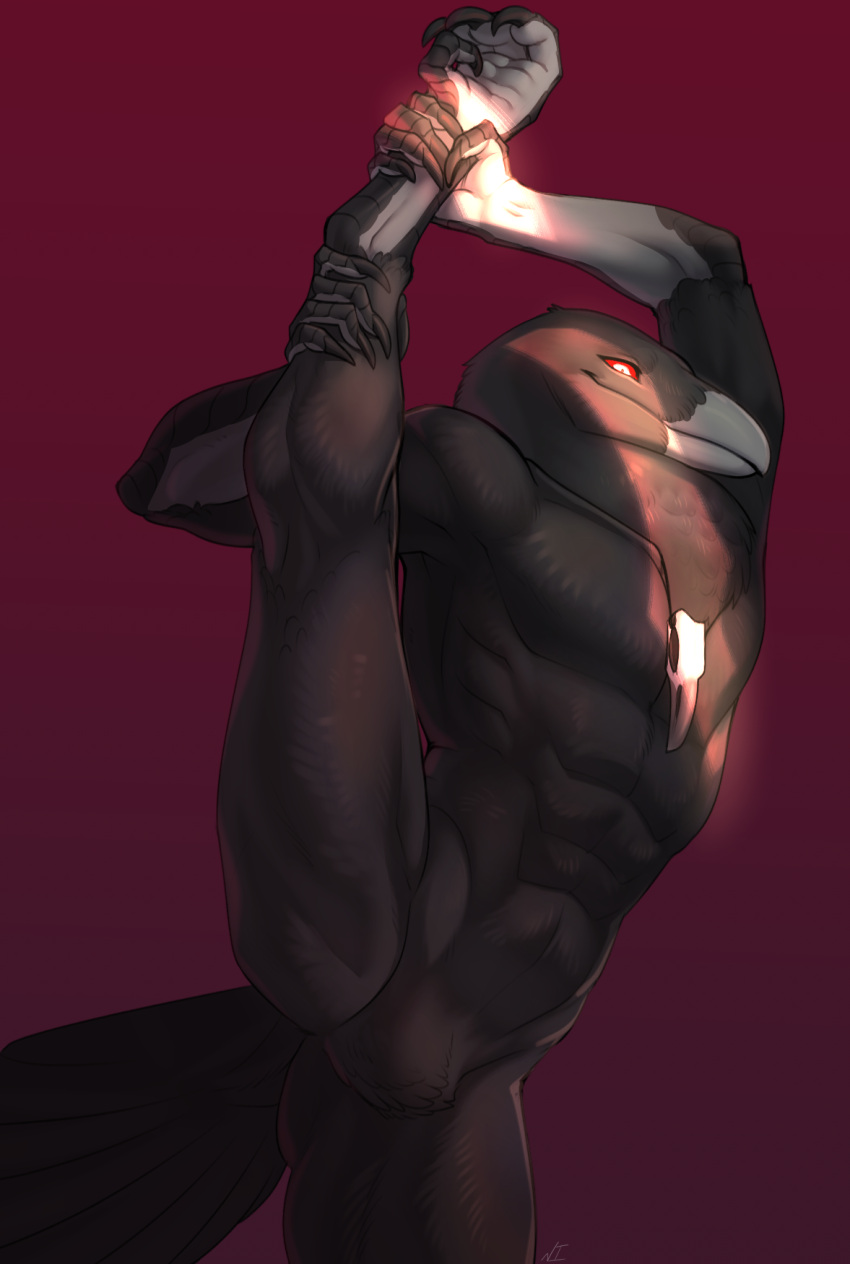 anthro avian avian_feet beak bird black_body black_feathers claws corvid corvus_(genus) crotch_tuft feathers featureless_crotch flexible hi_res jewelry male malik_rawge muscular muscular_anthro muscular_male necklace necroizu nude one_leg_up oscine passerine raised_leg raven red_eyes simple_background solo splits spread_legs spreading standing tail_feathers tuft vertical_splits