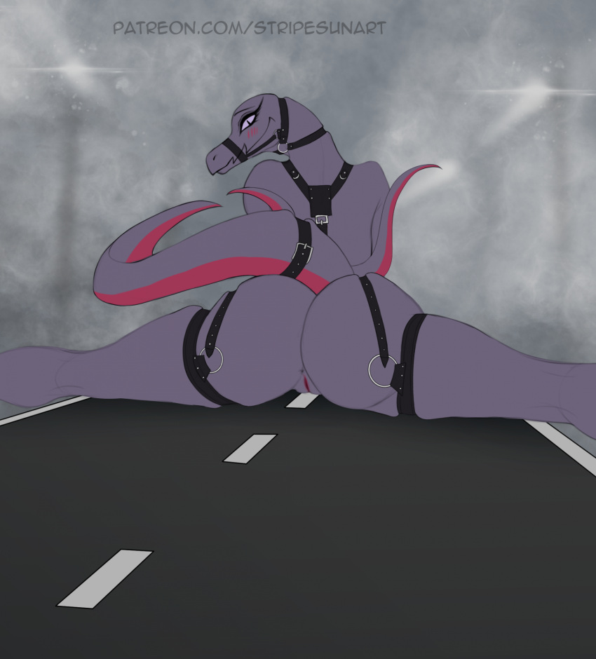 anthro big_butt black_betty_(meme) butt female flexible generation_7_pokemon genitals harness harness_only hi_res looking_at_viewer looking_back looking_back_at_viewer macro mostly_nude nintendo pokemon pokemon_(species) presenting presenting_hindquarters pussy rear_view reptile road salazzle scalie smile solo splits spread_legs spreading sunstripe