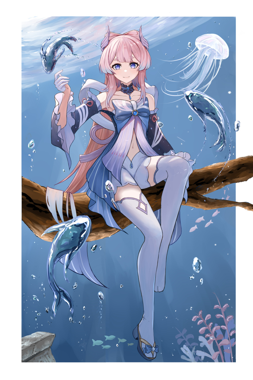 1girl absurdres blue_hair border bow-shaped_hair branch closed_mouth collar collarbone colored_tips detached_collar fish frilled_collar frilled_sleeves frills full_body genshin_impact highres huangwanzi jellyfish long_hair looking_at_viewer multicolored_hair navel outside_border pink_hair purple_eyes sangonomiya_kokomi shorts sitting sitting_on_branch smile solo thighhighs underwater white_border white_shorts white_thighhighs