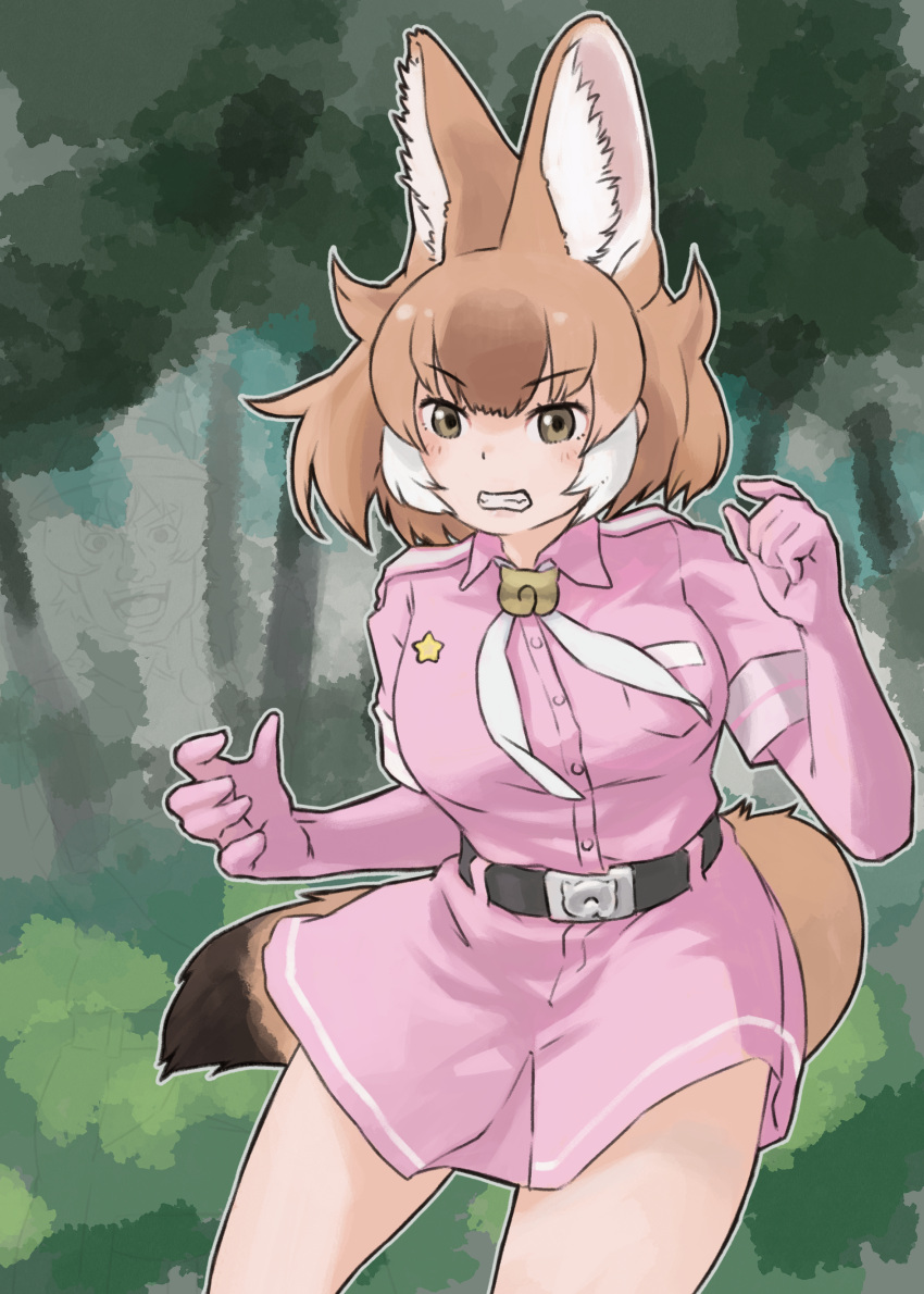 1girl absurdres animal_ears belt brown_eyes brown_hair dhole_(kemono_friends) elbow_gloves extra_ears gloves highres jacket kemono_friends kemono_friends_3 necktie pink_gloves pink_jacket pink_skirt short_hair skirt solo star_(symbol) tail toriny wolf_ears wolf_girl wolf_tail