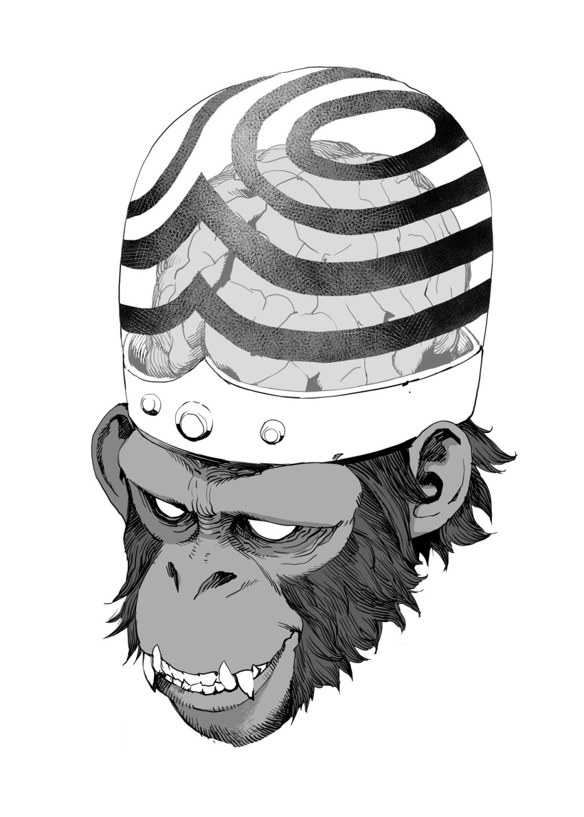 1boy body_fur brain cropped_head greyscale helmet highres manabu_yashiro mojo_jojo monkey monkey_boy monochrome no_pupils powerpuff_girls sharp_teeth solo teeth